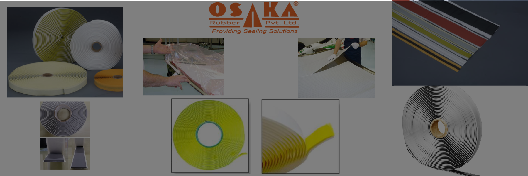 dishaa international header website (4)